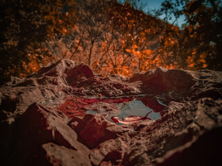 Little mountain in the Jungle