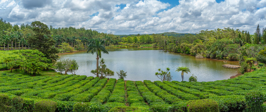 View of exterior of Bois Cheri Tea Estate, Savanne District, Mauritius