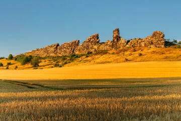 Teufelsmauer rock formation (Devil's Wall), Weddersleben, Thale, Harz, Saxony-Anhalt, Germany
