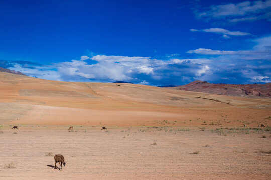 Peruvian landscape, Peru