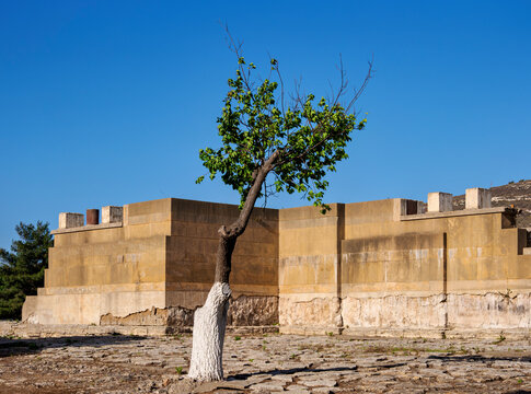 Palace of Minos, Knossos, Heraklion Region, Crete