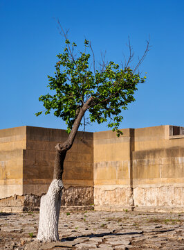 Palace of Minos, Knossos, Heraklion Region, Crete