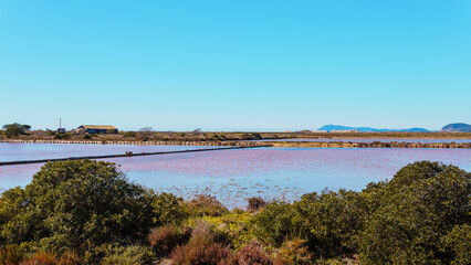 Discovery of the salt marshes of the south of France in Hyères les palmiers, in the Var