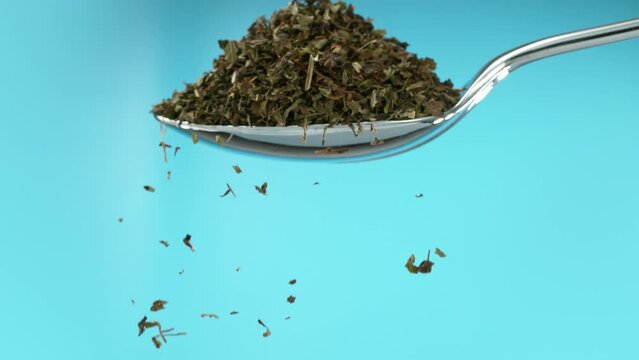 Spoon full of crushed yerba mate out on blue screen background. Turning to the side to slowly spill the yerba mate falling down in slow motion