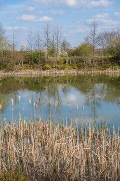 a fishing lake created from disused quarry