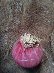 onion on a wooden background, close up detail of onion 