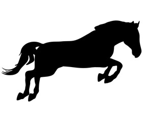 Obraz premium Jumping horse, silhouette. Vector illustration