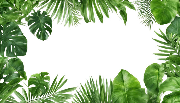 Picture frame of tropical palm leaves transparent