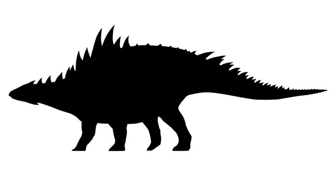 silhouette of a dinosaur with spikes on a white background