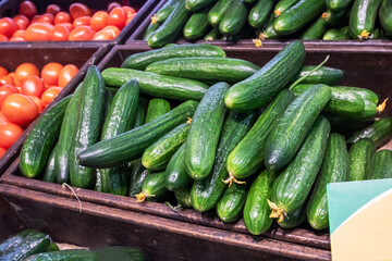 Heap of Long green cucumbers in a container