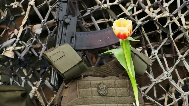 close-up of a soldier's male hand placing a tulip flower in a bulletproof vest near a weapon. national guard