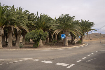 Rondo z palmami na środku, Wyspy Kanaryjskie, Fuerteventura, El Cotillo - obrazy, fototapety, plakaty