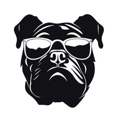 dog wearing sunglasses