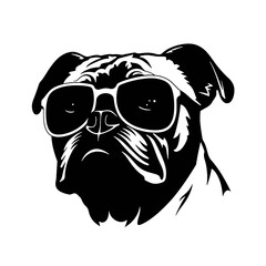 dog wearing sunglasses