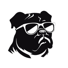 Fototapeta premium dog wearing sunglasses