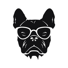 dog wearing sunglasses
