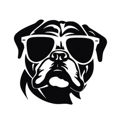 dog wearing sunglasses