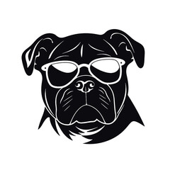 bulldog with sunglasses