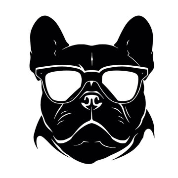 bulldog with sunglasses