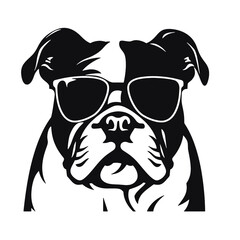 bulldog with sunglasses