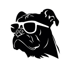 bulldog with sunglasses