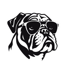 bulldog with sunglasses