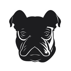 bulldog with sunglasses