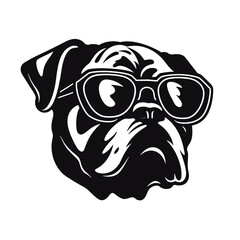 bulldog with sunglasses