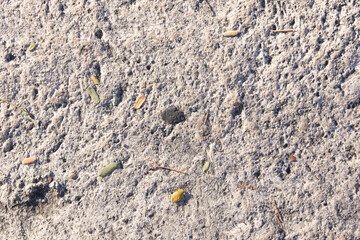 stone background of a street