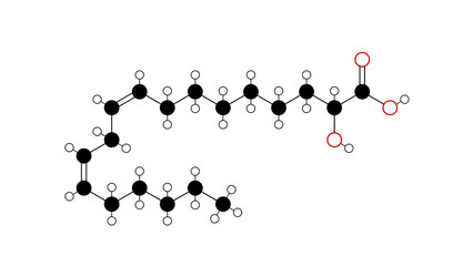 abtl0812 molecule, structural chemical formula, ball-and-stick model, isolated image a-hydroxylinoleic acid