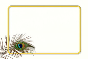 golden frame with colorful peacock feather texture design in white background with copy space