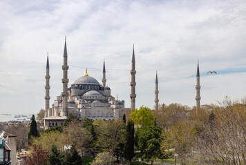 Fototapeta na wymiar The Blue Mosque and Sultan Ahmet Park