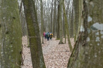 walking in the woods