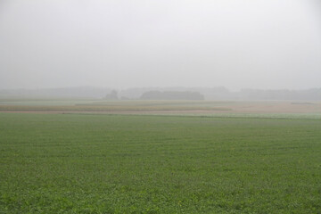 Fototapeta premium Morning mist in an open field with meadows and sunlight