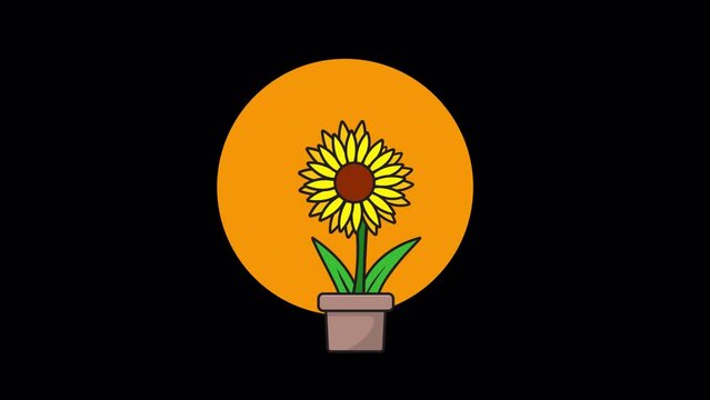 A Sunflower With Pot Dancing - Transparent Video
