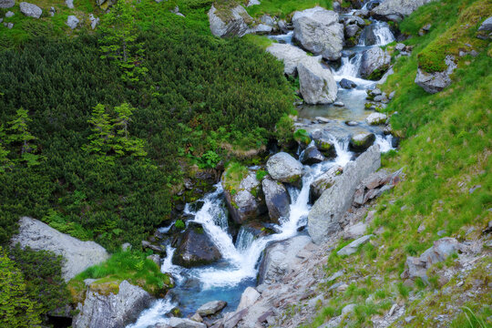 mountain waterstream among the rocks on the hillside. view from above. beauty of carpathian nature