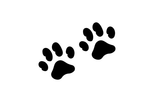 Dog Paw SVG, Animal Paw SVG, Dog Foot Print | svg, dxf, png, jpg, pdf, eps | Cricut, Silhouette, Vector, ClipArt | Instant Digital Download