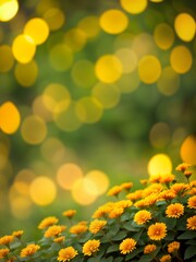Lots of yellow flowers on blurred lights background