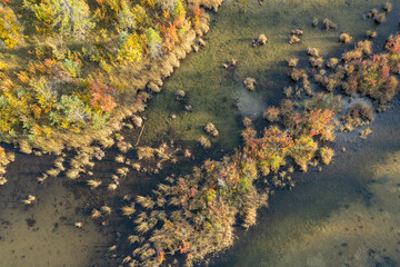 Aerial view of the Vermilion Lakes near Banff, Canada.