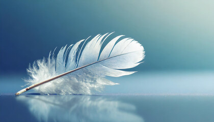 White little feather on blue background.