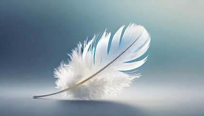 White little feather on blue background.