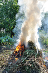seasonal work in the vegetable garden - burning dried weeds- environmental pollution