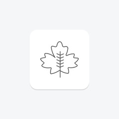 Maple Leaf icon, leaf, autumn, fall, tree thinline icon, editable vector icon, pixel perfect, illustrator ai file