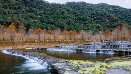 Popular autumn scenery in recent years of a private theme garden with cypress trees around...