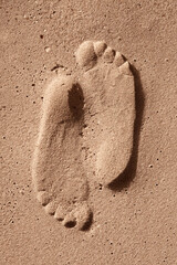 Foot prints in the Sand