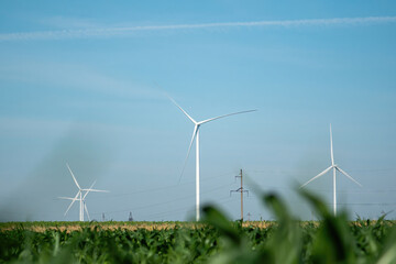 Windmill turbines producing useful ecological form of energy on skyline behind green plants....