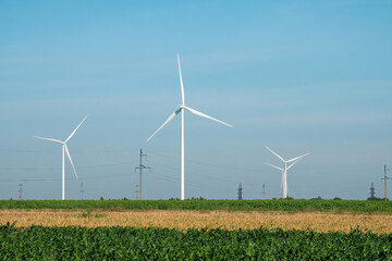 Windmills with rotor blades spinning on pole top on wheat field. Countryside field with wind turbines producing alternative energy