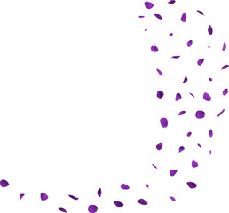 violet flower petals