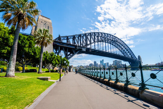 panoramic view of sidney harbour