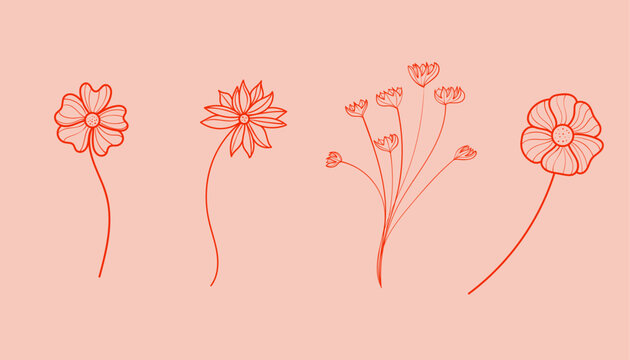 Boho Floral botanical illustration set background.Simple elegant beautiful spring,summer flowers.Line art style for card,invitation,arrangements,pattern,decorations,bouquets,nature inspired greeting 